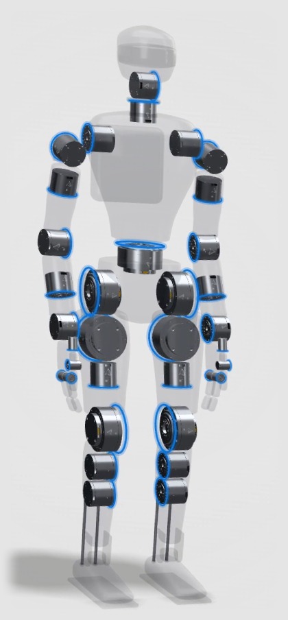 Humanoid concept with its shell made see-through, showing the Sylica Robots actuator at each joint